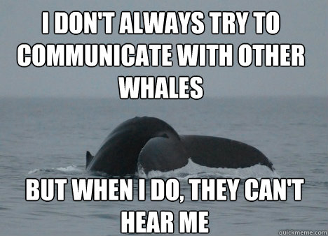 i don't always try to communicate with other whales but when i do, they can't hear me - i don't always try to communicate with other whales but when i do, they can't hear me  Misc