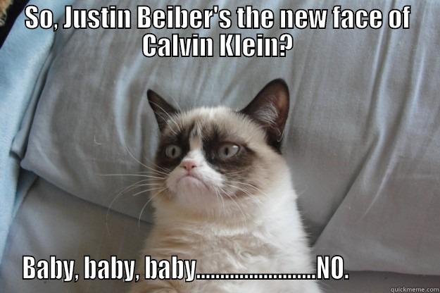 SO, JUSTIN BEIBER'S THE NEW FACE OF CALVIN KLEIN? BABY, BABY, BABY.........................NO.               Grumpy Cat