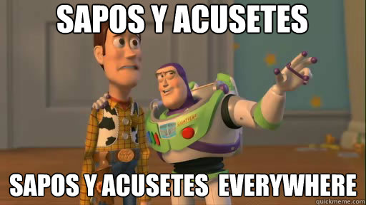 Sapos y Acusetes Sapos y Acusetes  everywhere  Everywhere