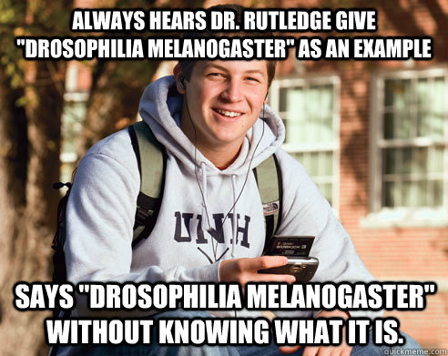 Always hears Dr. Rutledge give 