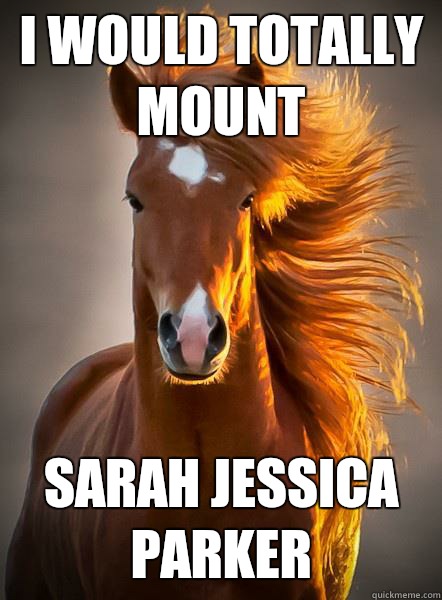 I would totally Mount Sarah Jessica Parker  - I would totally Mount Sarah Jessica Parker   Ridiculously Photogenic Horse