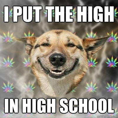 i put the high in high school  Stoner Dog