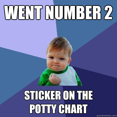 Went Number 2 Sticker on the
potty chart  Success Kid