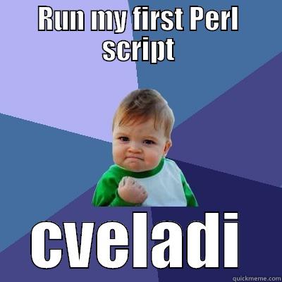 RUN MY FIRST PERL SCRIPT CVELADI Success Kid
