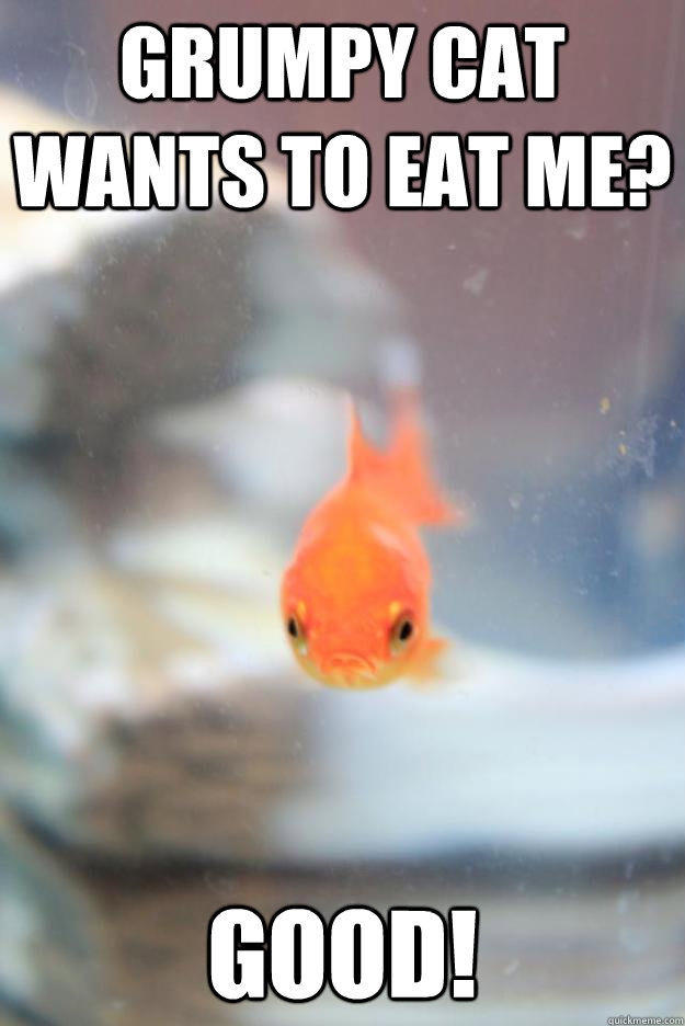 Grumpy cat wants to eat me? Good! - Grumpy cat wants to eat me? Good!  Grumpy Fish