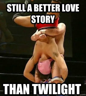 Still a better love story than twilight  Gay WWE