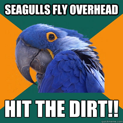 seagulls fly overhead hit the dirt!!  Paranoid Parrot
