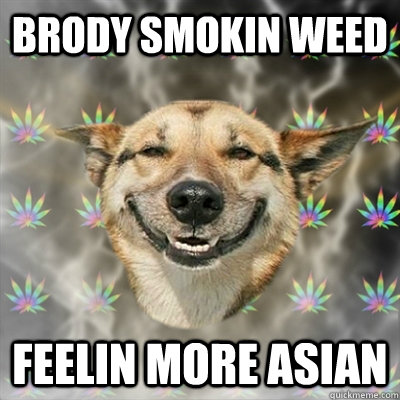 brody smokin weed feelin more asian  Stoner Dog