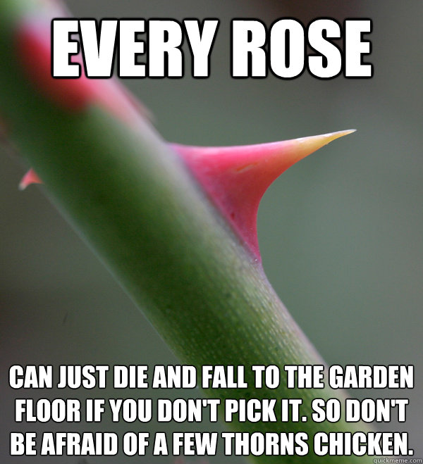 Every Rose Can just die and fall to the garden floor if you don't pick it. So don't be afraid of a few thorns chicken. - Every Rose Can just die and fall to the garden floor if you don't pick it. So don't be afraid of a few thorns chicken.  Self Important Prick