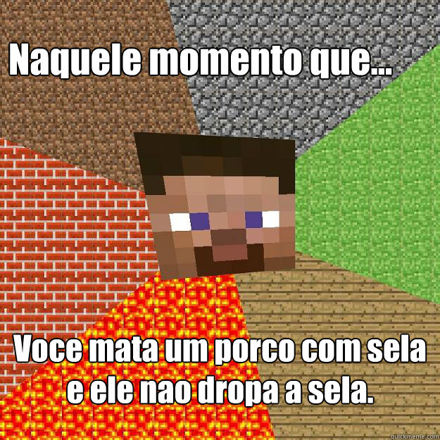 Naquele momento que... Voce mata um porco com sela e ele nao dropa a sela.  Minecraft
