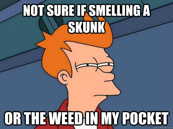 Not sure if smelling a skunk or the weed in my pocket  Futurama Fry