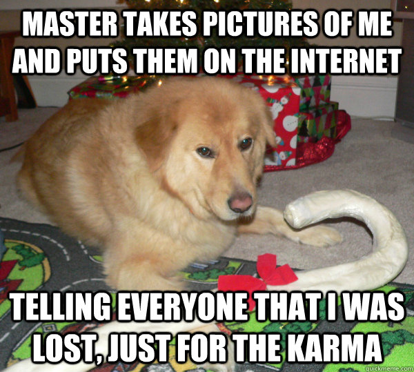 Master takes pictures of me and puts them on the internet telling everyone that I was lost, just for the karma   First World Dog problems