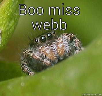 BOO MISS WEBB  Misunderstood Spider
