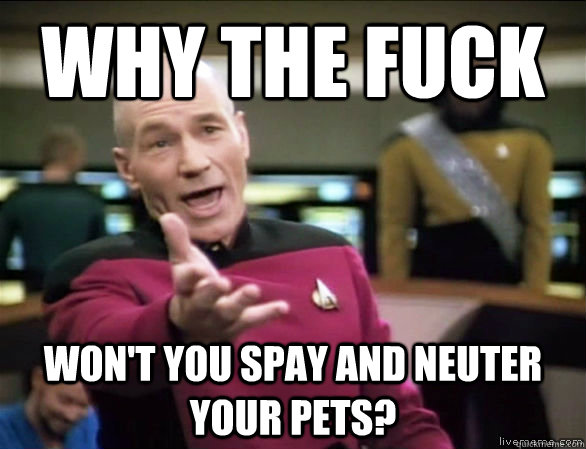 why the fuck Won't you spay and neuter your pets?  Annoyed Picard HD