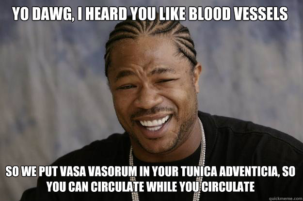 Yo dawg, I heard you like blood vessels so we put vasa vasorum in your tunica adventicia, so you can circulate while you circulate - Yo dawg, I heard you like blood vessels so we put vasa vasorum in your tunica adventicia, so you can circulate while you circulate  Xzibit meme