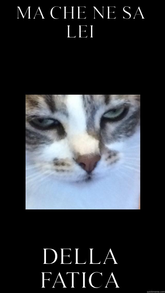 MA CHE NE SA LEI DELLA FATICA Misc