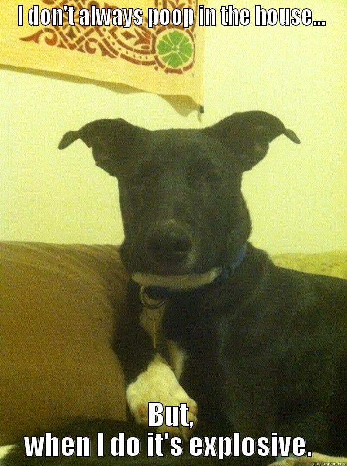 I DON'T ALWAYS POOP IN THE HOUSE... BUT, WHEN I DO IT'S EXPLOSIVE.  Misc