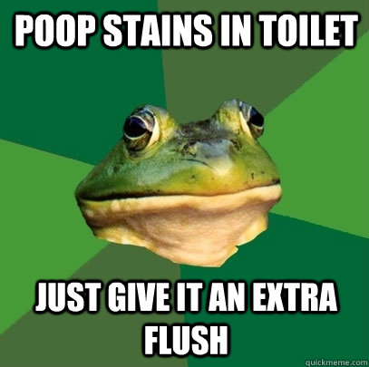 poop stains in toilet just give it an extra flush  Foul Bachelor Frog