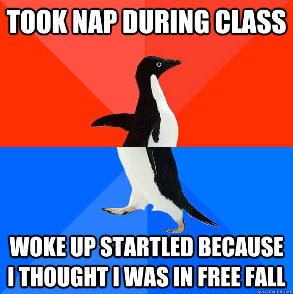 Took nap during class Woke up startled because i thought i was in free fall  Socially Awesome Awkward Penguin