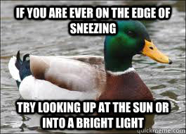 If you are ever on the edge of sneezing try looking up at the sun or into a bright light  Good Advice Duck