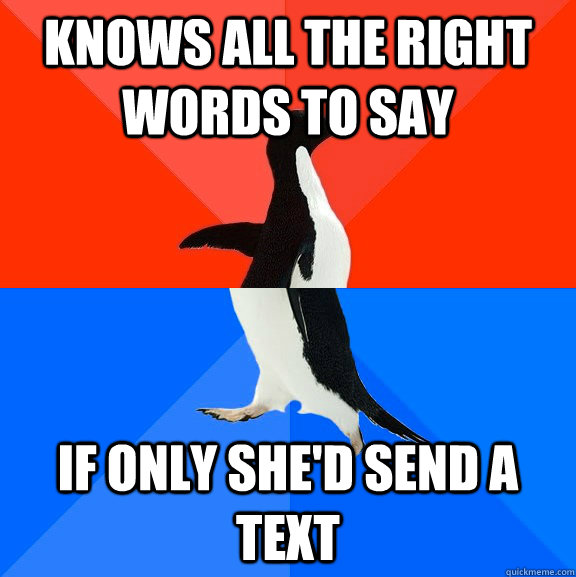 Knows all the right words to say If only she'd send a text  Socially Awesome Awkward Penguin