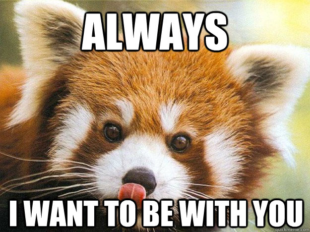 Always I want to be With you  Red panda