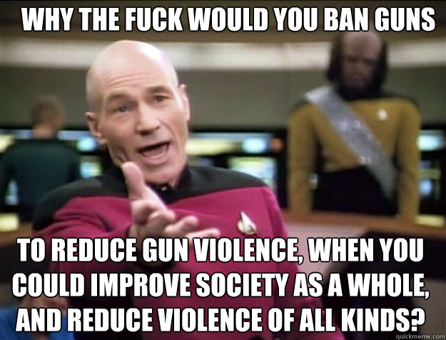 WHY THE FUCK would you ban guns  to reduce gun violence, when you could improve society as a whole, and reduce violence of all kinds?  Piccard 2