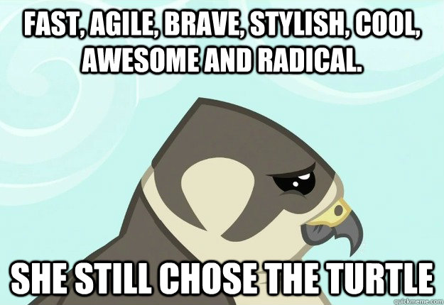 Fast, agile, brave, stylish, cool, awesome and radical. she still chose the turtle  - Fast, agile, brave, stylish, cool, awesome and radical. she still chose the turtle   Broken-hearted biarmicus