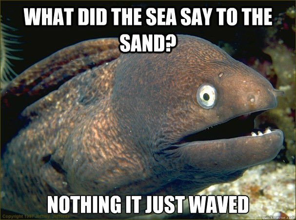 What did the sea say to the sand? Nothing it just waved  Bad Joke Eel