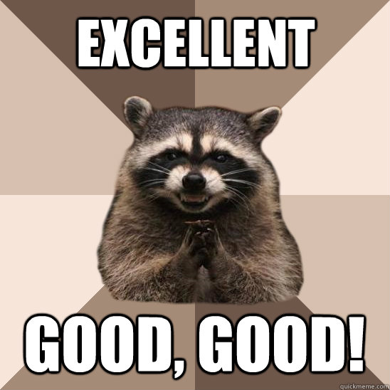 Excellent Good, good!  Evil Plotting Raccoon