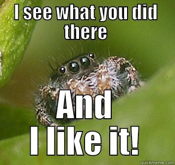 I've been watching you - I SEE WHAT YOU DID THERE AND I LIKE IT! Misunderstood Spider