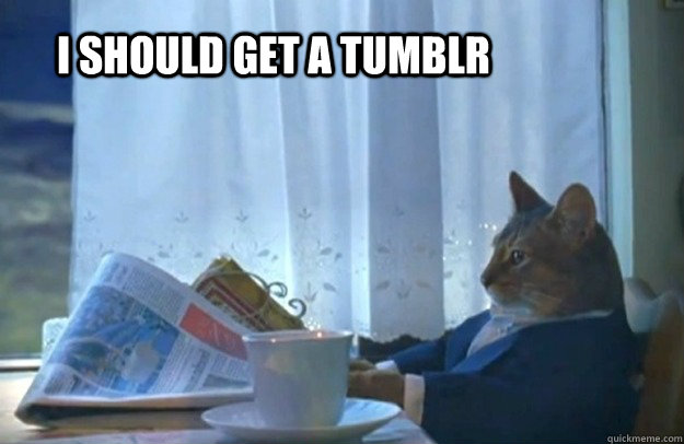 I should get a tumblr - I should get a tumblr  Sophisticated Cat