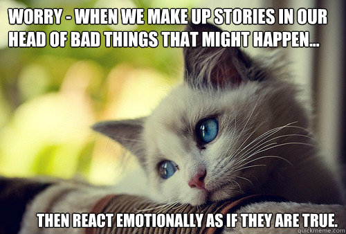 Worry - When we make up stories in our head of bad things that might happen... then react emotionally as if they are true.  First World Problems Cat