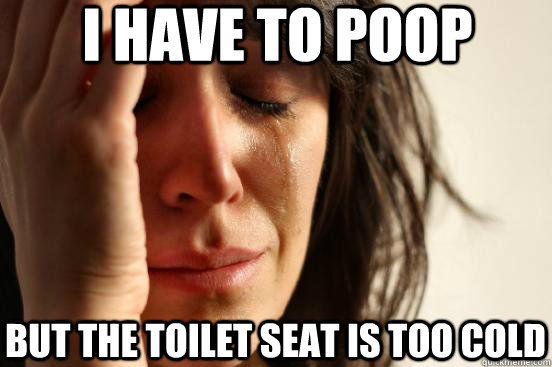 i have to poop but the toilet seat is too cold  First World Problems