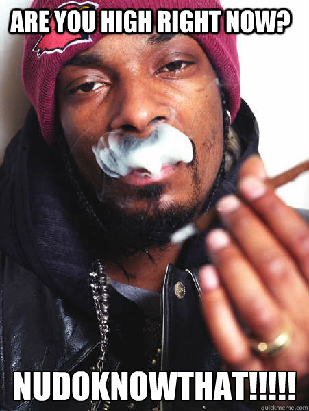 Are you high right now? nudoknowthat!!!!! - Are you high right now? nudoknowthat!!!!!  10 Guy Snoop