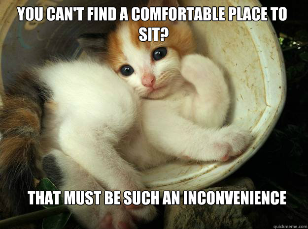 You can't find a comfortable place to
 sit? That must be such an inconvenience - You can't find a comfortable place to
 sit? That must be such an inconvenience  Condescending Kitty