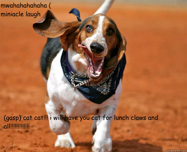  (gasp) cat cat!!! i will have you cat for lunch claws and all!!!!!!!!!!!!! mwahahahahaha ( miniacle laugh  