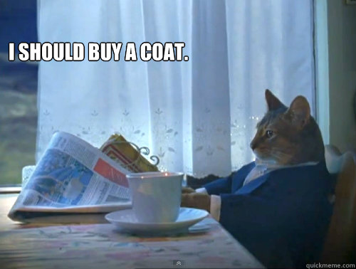 I should buy a coat.   The One Percent Cat