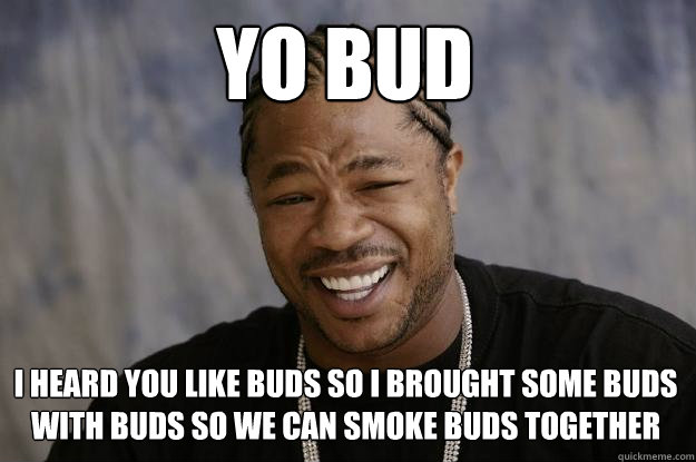 yo bud i heard you like buds so i brought some buds with buds so we can smoke buds together - yo bud i heard you like buds so i brought some buds with buds so we can smoke buds together  Xzibit meme