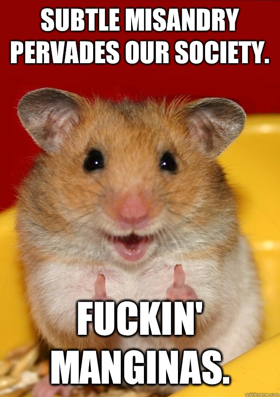 Subtle misandry pervades our society. Fuckin' manginas.   Rationalization Hamster