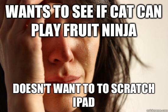 Wants to see if cat can play fruit ninja Doesn't want to to scratch iPad  First World Problems