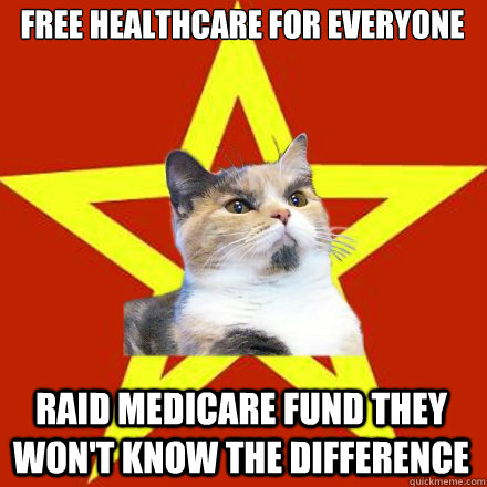 FREE HEALTHCARE FOR EVERYONE
 RAID MEDICARE FUND THEY WON'T KNOW THE DIFFERENCE  Lenin Cat