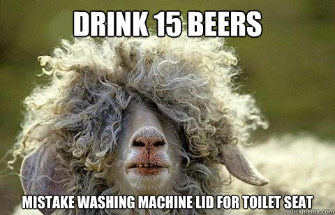 Drink 15 beers mistake washing machine lid for toilet seat  Party Sheep