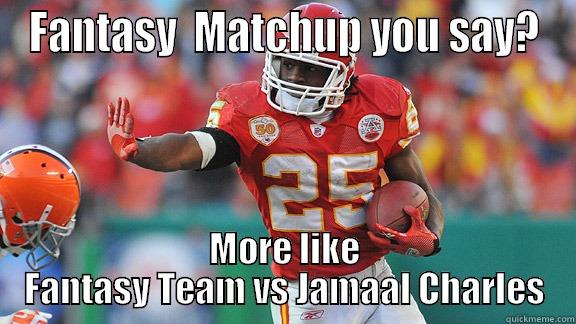FANTASY  MATCHUP YOU SAY? MORE LIKE FANTASY TEAM VS JAMAAL CHARLES Misc