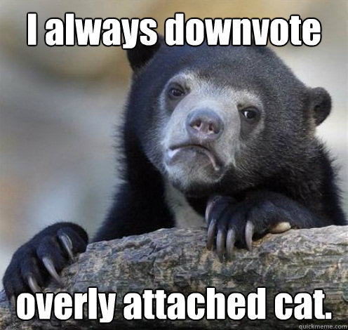 I always downvote overly attached cat.  Confession Bear Eating