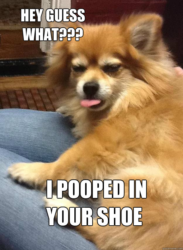 hey guess what??? i pooped in your shoe  