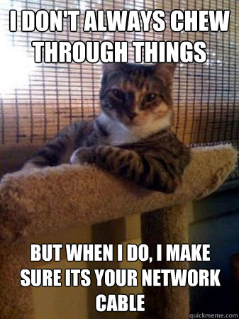 I don't always chew through things but when I do, I make sure its your network cable  The Most Interesting Cat in the World