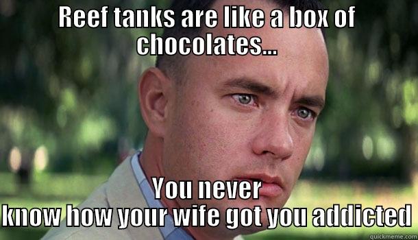 REEF TANKS ARE LIKE A BOX OF CHOCOLATES... YOU NEVER KNOW HOW YOUR WIFE GOT YOU ADDICTED Offensive Forrest Gump