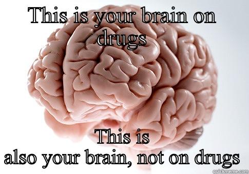 THIS IS YOUR BRAIN ON DRUGS THIS IS ALSO YOUR BRAIN, NOT ON DRUGS Scumbag Brain