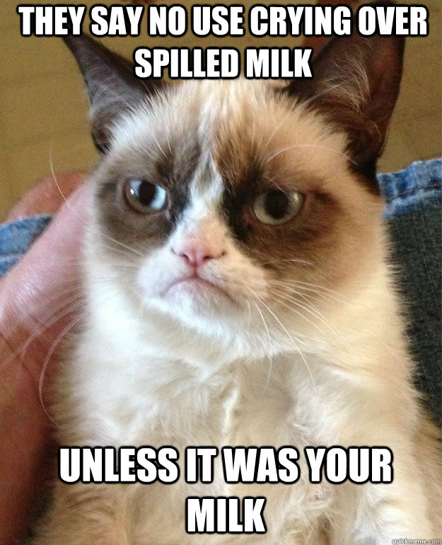 They say no use crying over spilled milk unless It was your milk  Grumpy Cat